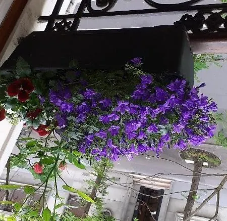 Proche De La Seine *