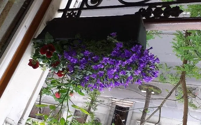 Proche De La Seine *