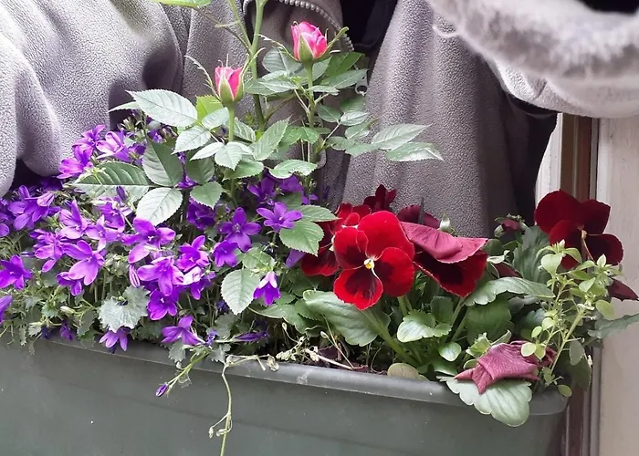 Proche De La Seine Апартаменты *