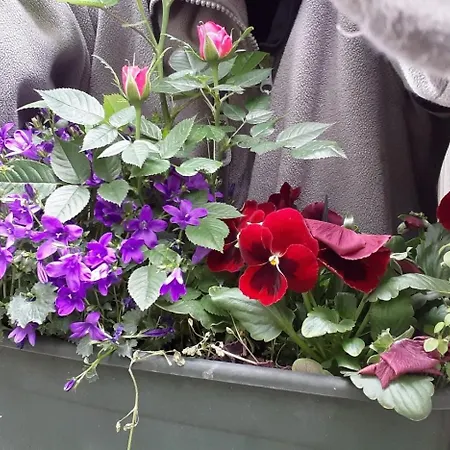 Proche De La Seine Appartamento *